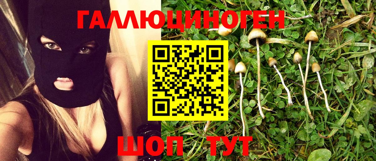 Псилоцибиновые грибы мухоморы Нальчик